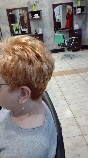 Gosia. Pracownia fryzjerska. Leś M.